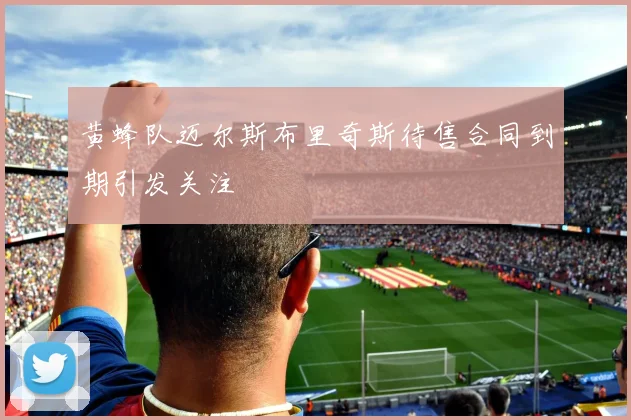 黄蜂队迈尔斯布里奇斯待售合同到期引发关注